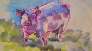 The Sunday Art Show - How to paint a pig in watercolour
